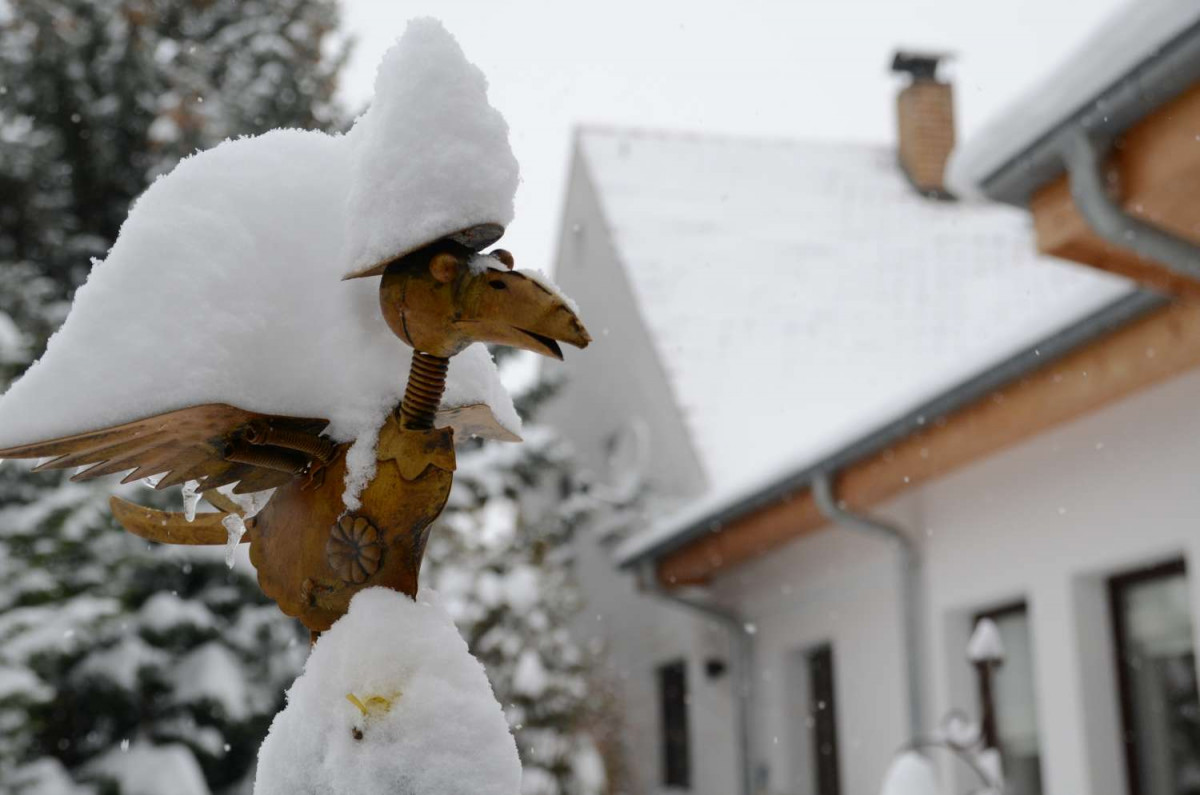 Gartengestaltung Winter