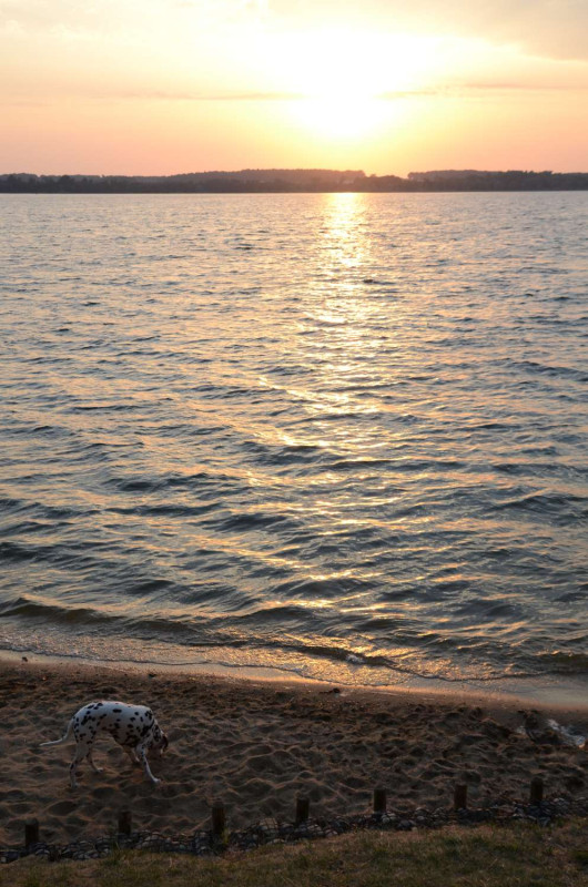 Sonnenuntergang am Stausee Bautzen